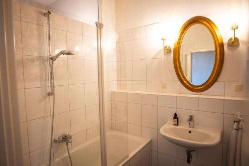 a bathroom with a shower and a sink and a mirror at Gut Alt Necheln in Brüel