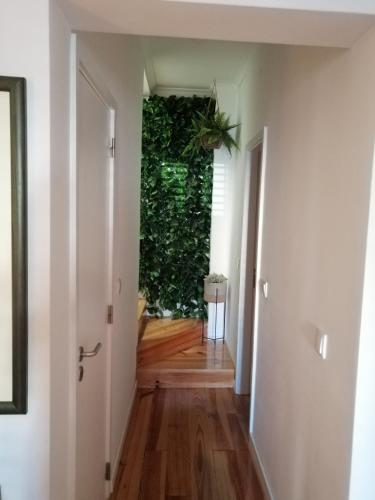 a hallway with a green wall in a house at A Casa da Vila in Alcochete