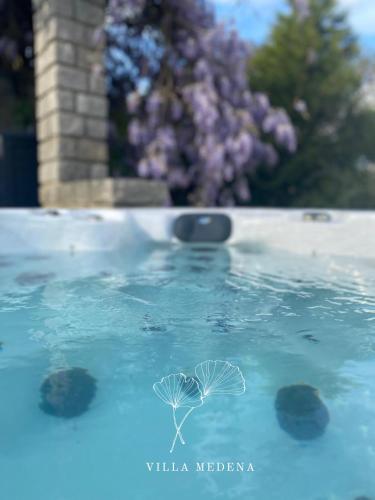 a drawing of two leaves on top of the water at Appartement Villa Medena - Classé 3 étoiles in Mayenne
