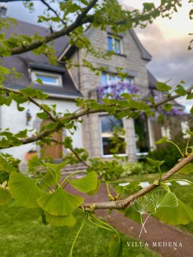 a tree branch in front of a house at Appartement Villa Medena - Classé 3 étoiles in Mayenne