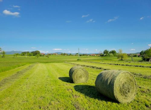two large hay bales in a field at Stars Apartments in nature in Postojna
