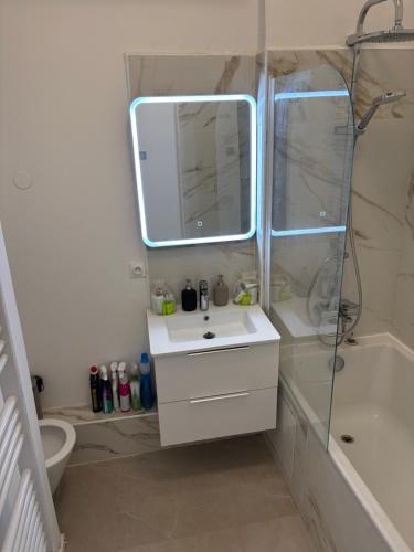 une salle de bain avec un lavabo et une douche avec un miroir dans l'établissement Maison Bègles à côté de la gare saint Jean, à Bègles