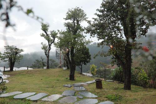 a park with trees and rocks on a hill at Mountain Nest Villa Dalat - BBQ, Cloud Hunting, Camping in Da Lat