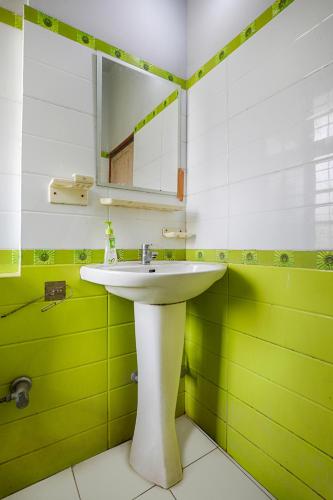 a white sink in a green bathroom with a mirror at Exotic Villa Homestay in Guwahati