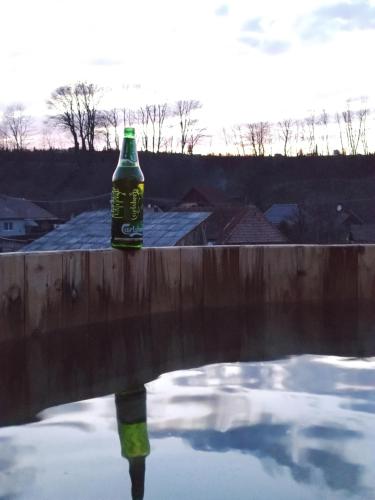 a bottle of coke sitting on a wall with a reflection at Casa Daya in Topliţa