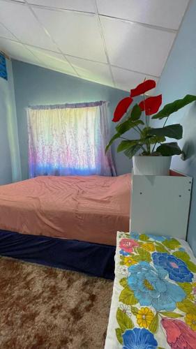 a bedroom with a bed with a plant in it at Earnhomestay sichon in Ban Plai Thon