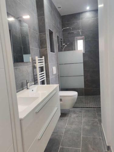 une salle de bain avec un lavabo et des toilettes dans l'établissement Appartement cosy, à Saint-Étienne