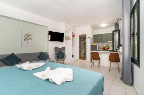 Manoli's Studios Old Town Chania