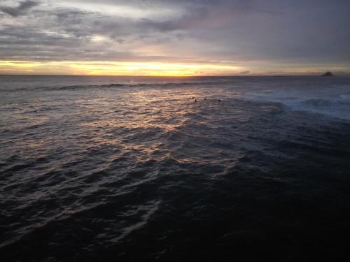 a group of ducks swimming in the ocean at sunset at The Stables Oceanfront Hotel Midigama in Midigama
