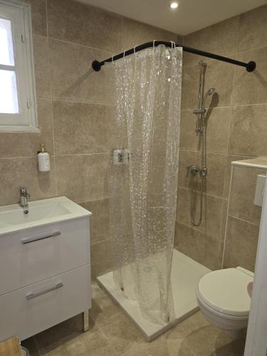 une salle de bain avec une douche avec des toilettes et un lavabo dans l'établissement Les Saladelles, à Saintes-Maries-de-la-Mer