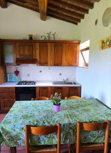 a kitchen with a table with chairs and a sink at BUONUMORE-la QUIETE in Acquapendente