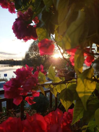 Apartament 6 Zakątek nad Jeziorem Ełk