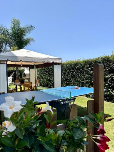 a blue ping pong table in a yard with flowers at Alto Giardino in Zambrone