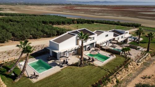 an aerial view of a house with palm trees at Flamingo Living Halkidiki - The Villas in Áyios Mámas