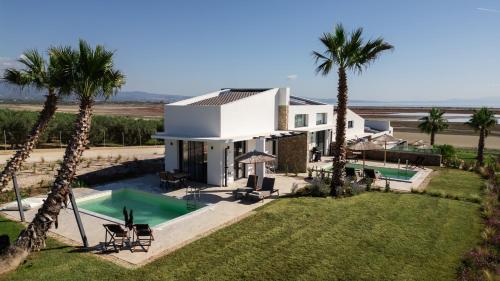 an aerial view of a house with a swimming pool and palm trees at Flamingo Living Halkidiki - The Villas in Áyios Mámas