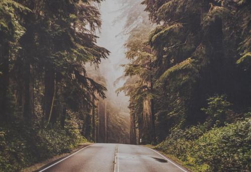 an empty road in the middle of a forest at Travelershome Ciampino Suite in Ciampino