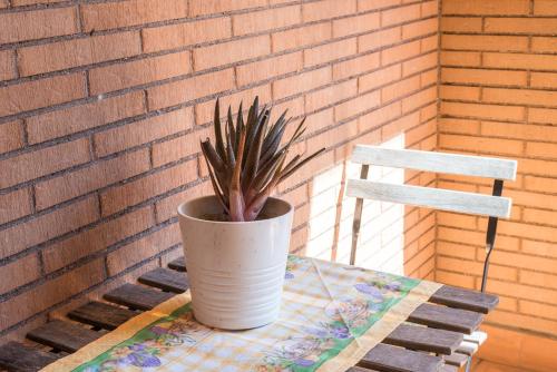 a plant in a pot sitting on a table at Travelershome Ciampino Suite in Ciampino