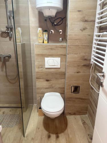 コパオニクにあるApartman The Nestのトイレとシャワー付きのバスルーム