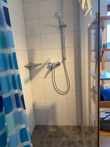 a shower with a shower head in a bathroom at Hofgut Homboll in Hilzingen