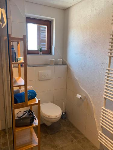 a bathroom with a toilet and a window at Hofgut Homboll in Hilzingen