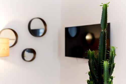 Un cactus sur un mur à côté d'un miroir dans l'établissement L'Ethnic Ambience - Superbe appartement tout confort au coeur du Vieux Lyon, à Lyon