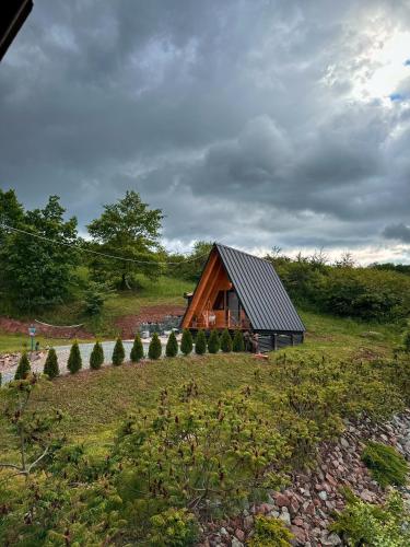 a small wooden cabin in a field with trees at Vila Miorita in Sebeş