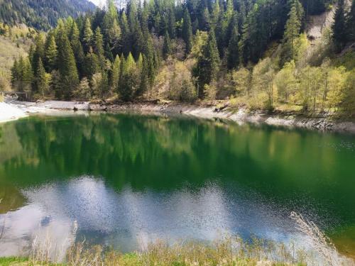 a lake with green water and trees in the background at Hockmatte in Grengiols