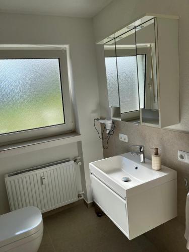 a bathroom with a sink and a toilet and a mirror at Ferienwohnung Am Lollbach in Bad Kissingen