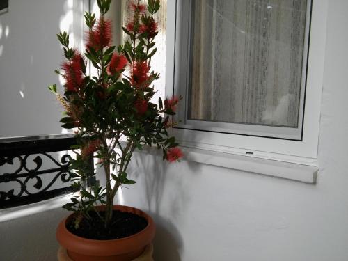 Φωτογραφία από το άλμπουμ του Maria Studios and Apartments στο Χαράκι
