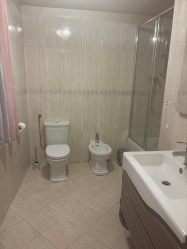 a bathroom with a toilet and a sink and a shower at Bianco Diamante Mondovi in Mondovì