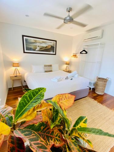 a bedroom with a bed and a plant at Bayhaven Lodge in Byron Bay