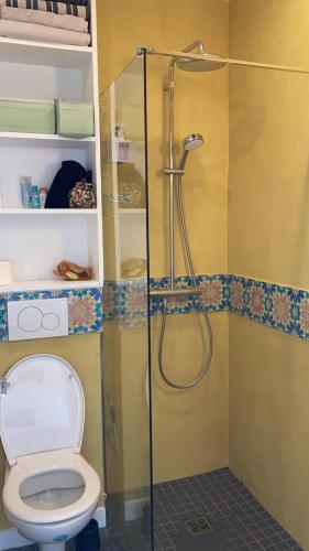 une salle de bain avec douche et toilettes dans l'établissement studio lumineux avec vue sur le canal, à Paris