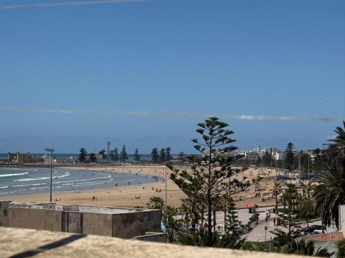 a view of a beach with a palm tree at Chic 2BR Apt - Walk to Beach in Essaouira