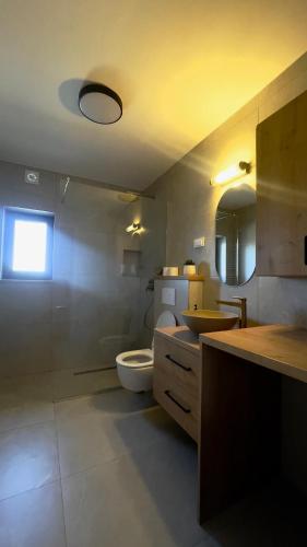 a bathroom with a toilet and a sink and a mirror at Apartments Wally 
