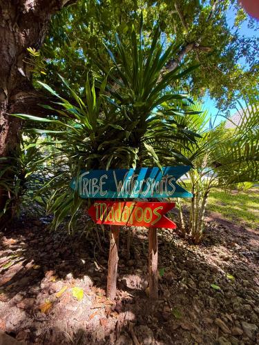 a sign that says nice wildlife sights and wildlife dogs at Galu Ecolodge - Diani Beach in Diani Beach