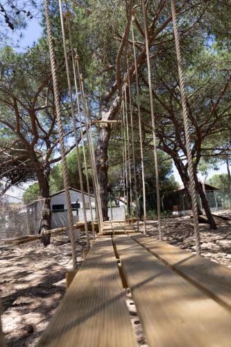 a wooden swing bridge with trees in the background at Orla Ilha de Tavira Eco-Glamping in Tavira