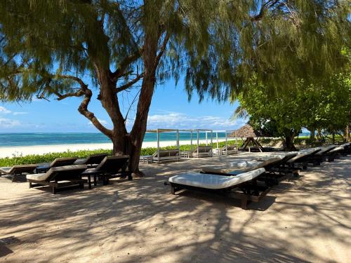 a row of benches sitting next to the beach at Galu Ecolodge - Diani Beach in Diani Beach