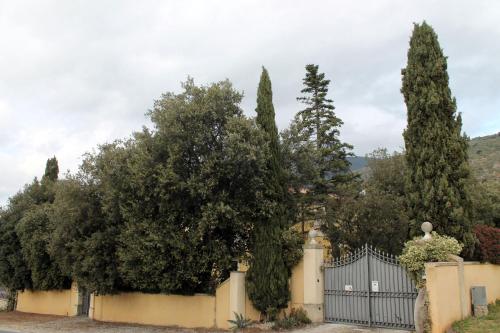 a fence with a bunch of trees behind it at Dimora Umbra al civico 65 in Campello sul Clitunno