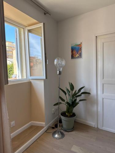 een kamer met een potplant en een raam bij T2 Cosy HYPER CENTRE AJACCIO in Ajaccio