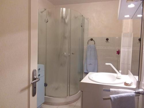 une salle de bain avec douche et lavabo dans l'établissement Mougins Apartment in Provençal house near Cannes, à Mougins