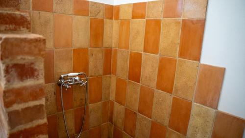 a shower with orange and brown tiles in a bathroom at Mokka Vendégház in Verőce
