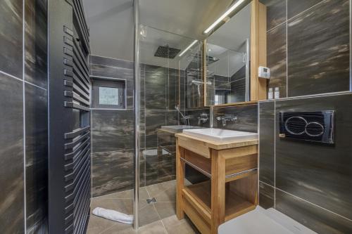 a bathroom with a sink and a shower at Le Pigeonnier - Vue sur le château de Menthon in Menthon-Saint-Bernard