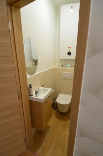 une salle de bain avec toilettes, lavabo et miroir dans l'établissement JAURES - Luxueux appartement quartier Vieux-Nice, à Nice