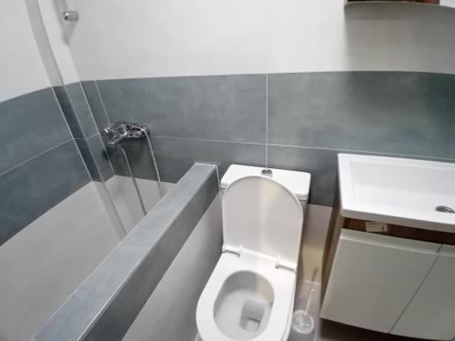 a bathroom with a toilet and a sink at Arbinovo Lodge in Ohrid