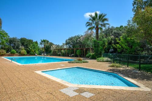 une piscine dans une cour avec un palmier dans l'établissement Nice Fabron, terrasse & piscine dans résidence, à Nice
