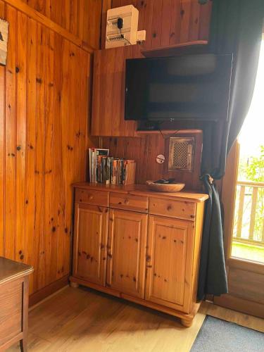 a room with a tv and a wooden wall at Chalet et jacuzzi au coeur du Nivernais in Sauvages