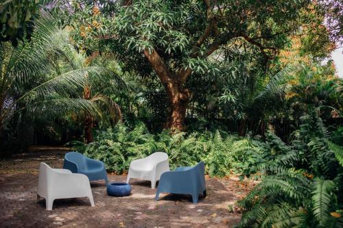 a group of chairs sitting in front of a tree at 3 Bedroom Apartment with Backyard Oasis in Miami