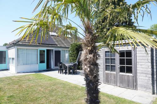 a palm tree in front of a house at Kustverhuur, Park Schoneveld, Duinroos 102 in Breskens