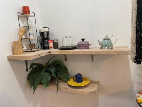 a shelf on a wall with some items on it at Tropical Paradise in Miracle Mile with Parking in Miami