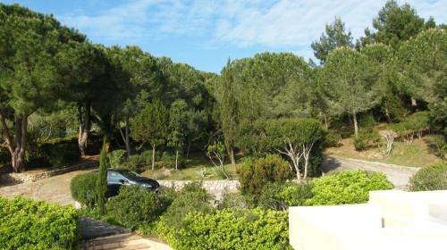 un'auto parcheggiata in un giardino con alberi di Villa Sycorax, waterfront with private jetty and buoy a Porto Rafael